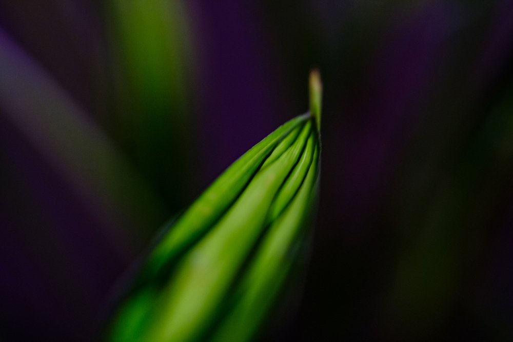 artistic photography in Mexico by Ochoa