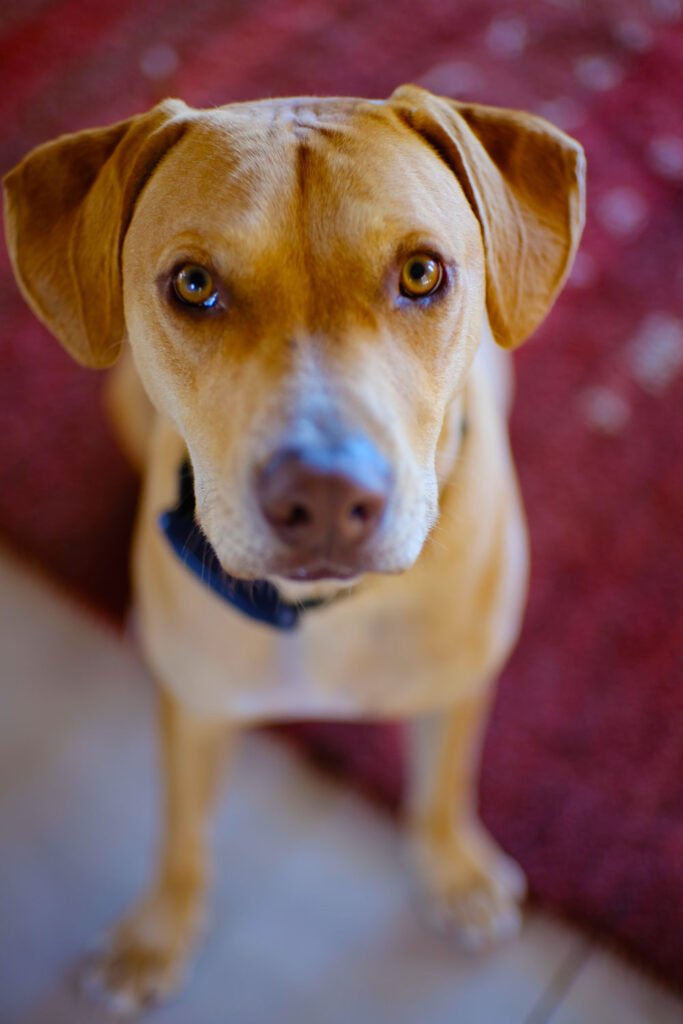 artistic photography in Mexico by Ochoa